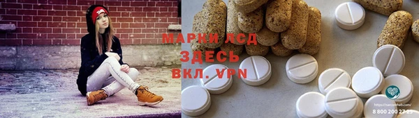 spice Бородино